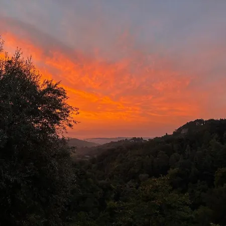 Ideale Per Vivere Il Centro Storico Di شقة *