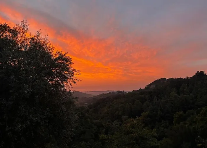 Ideale Per Vivere Il Centro Storico Di Apartamento *